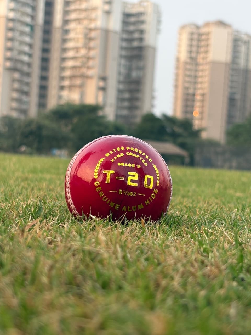 T-20 Red Ball