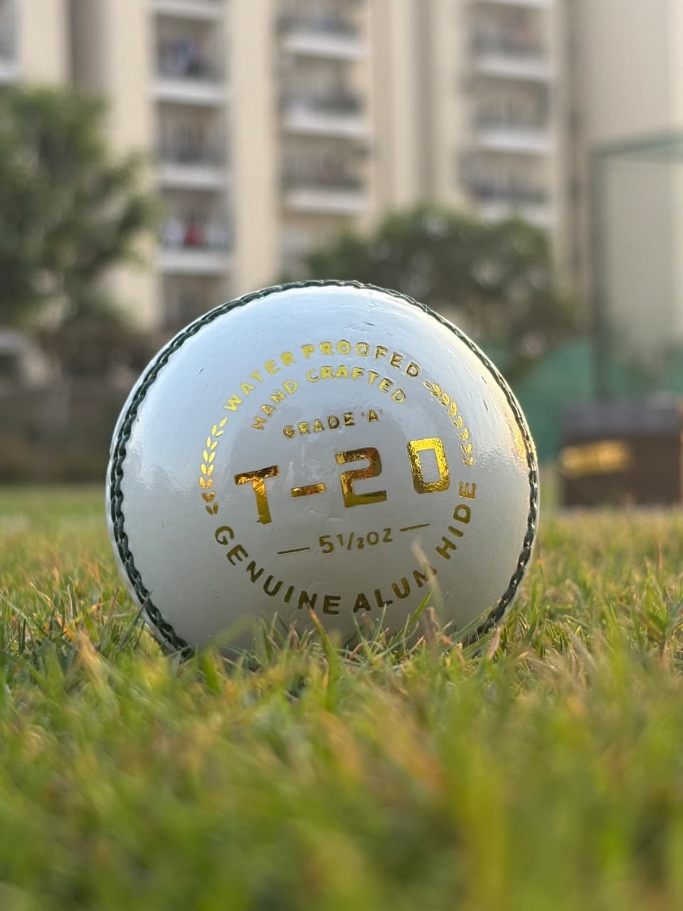 T-20 White Ball