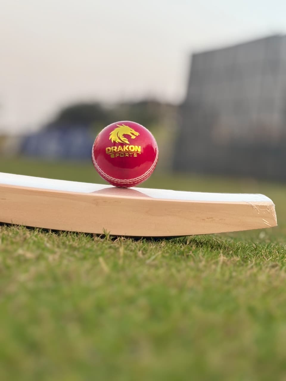 T-20 Red Ball thumbnail 3