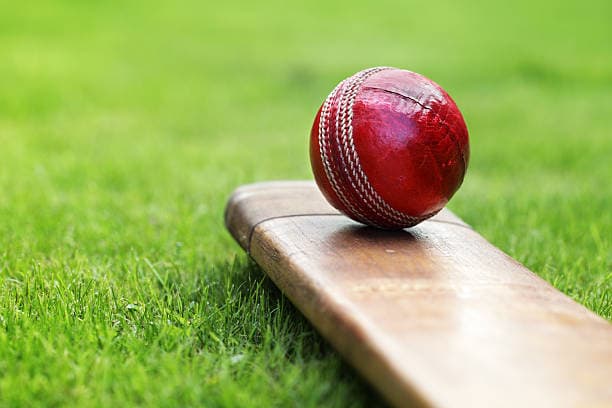 Premium Cricket Equipment