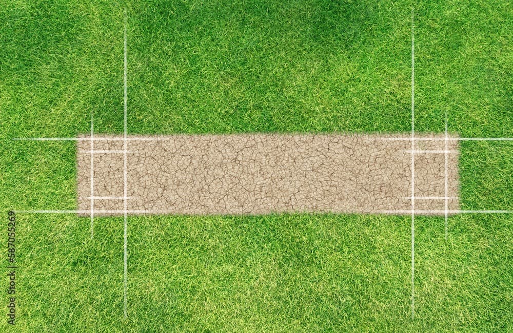 Cricket Action Background