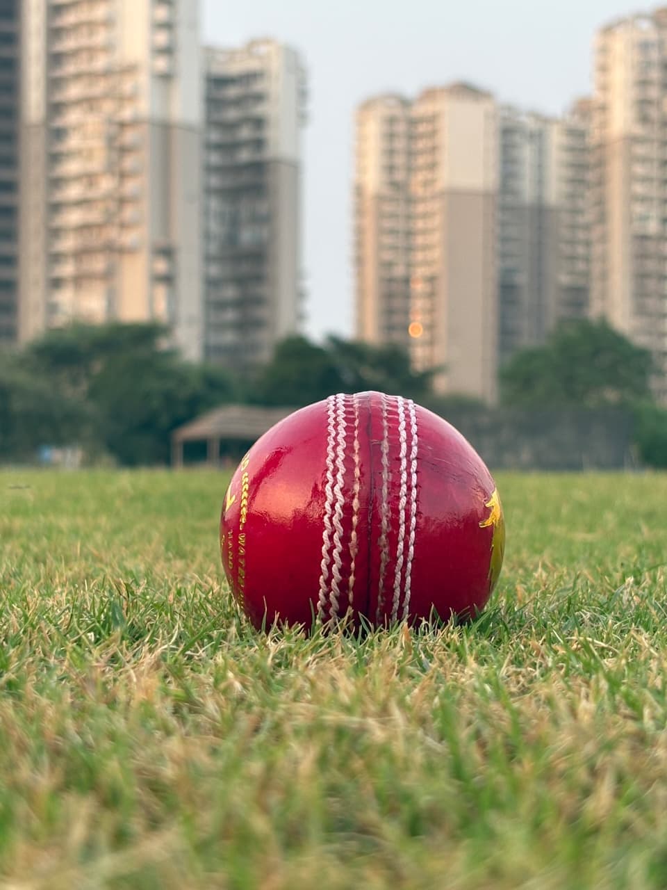 Practice Red Ball thumbnail 3