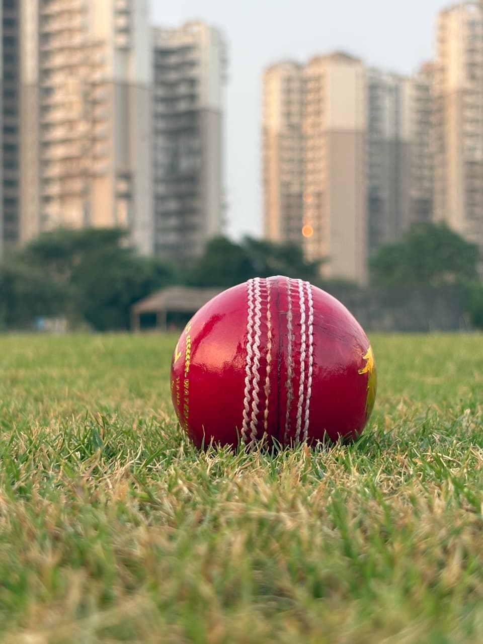 T-20 Red Ball thumbnail 2