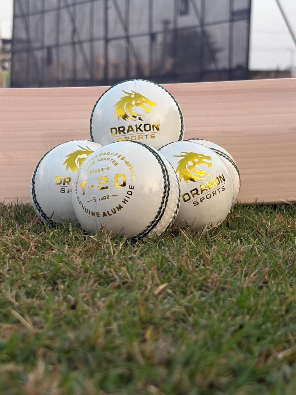 T-20 White Ball thumbnail 4